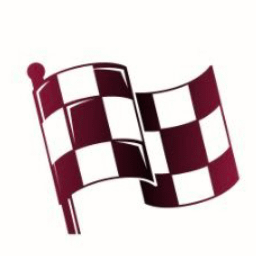 Flagdoku logo